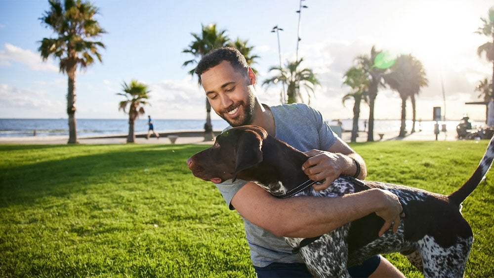 Does My Dog Need a Multivitamin? ZamiPet