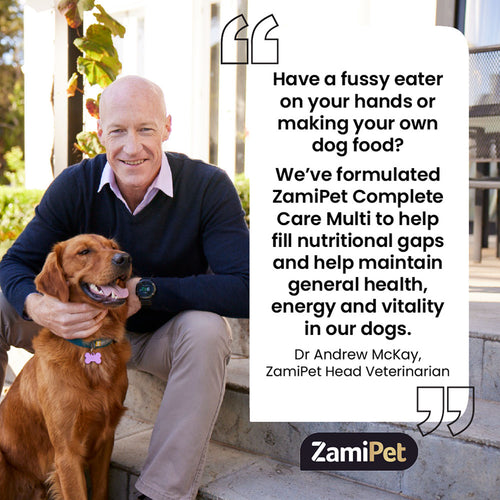 Vet-approved vitamin for dogs helps to fill nutritional gaps