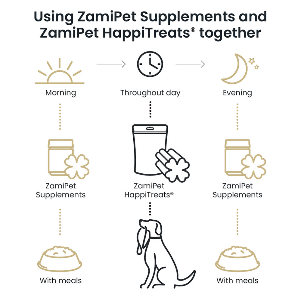 How to use Zamipet supplements for your dog