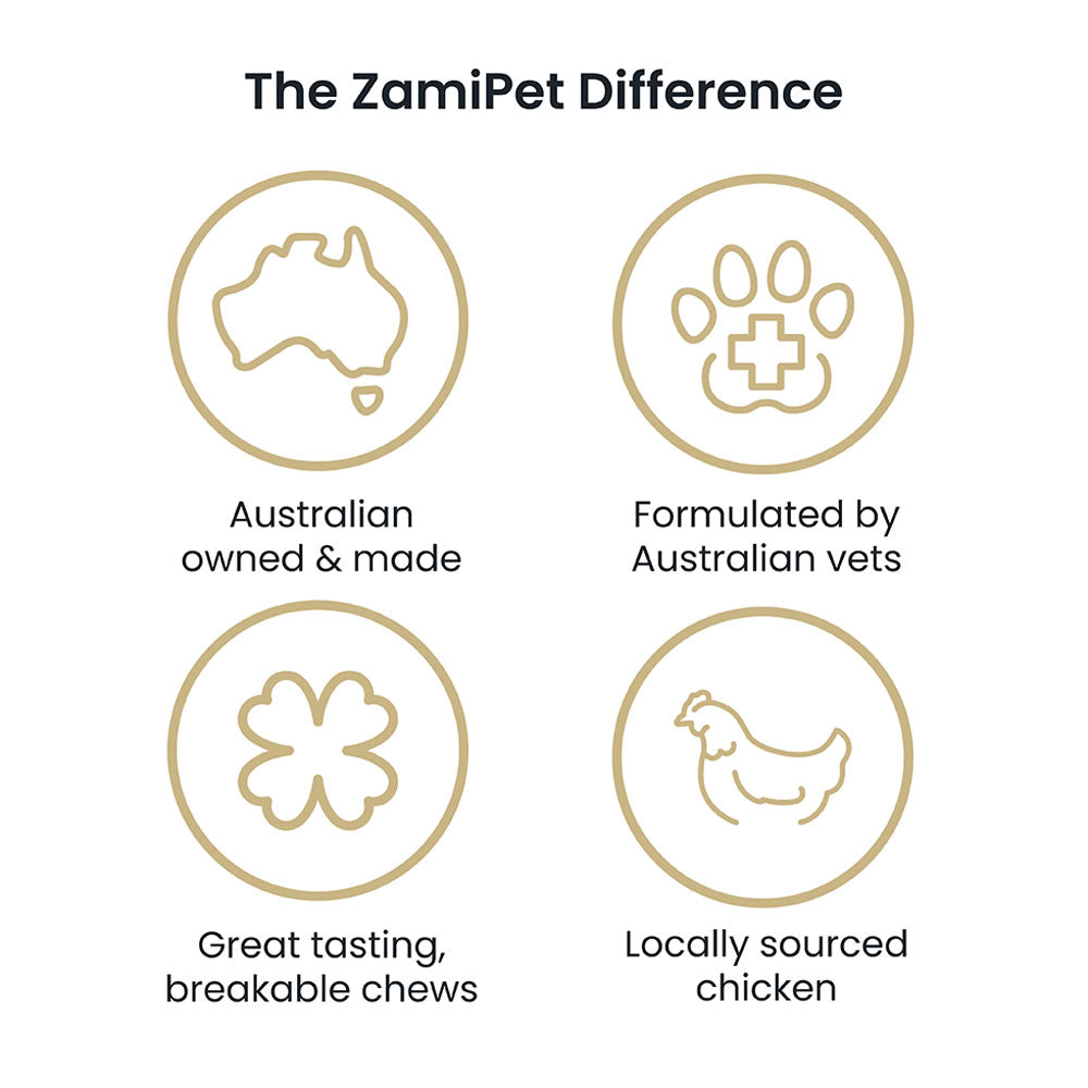 Find out whay makes Zamipet Dog Supplements the best