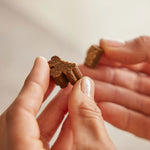 Load image into Gallery viewer, ZamiPet Allergy & Itch Supplement for Dogs