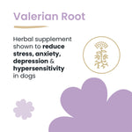 Load image into Gallery viewer, HappiTreats by ZamiPet Calming Dental Sticks - Medium/Large Dogs