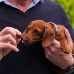 Load image into Gallery viewer, Best Start Puppy Multi Vitamin