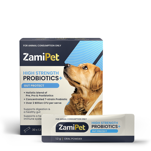 Probiotics for Dogs | Specifically designed by vets for ultimate health