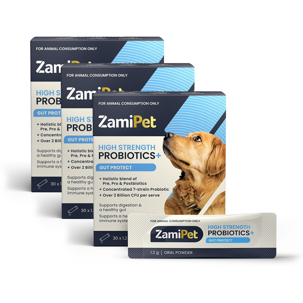 ZamiPet High Strength Probiotics+ Gut Protect 3-Pack