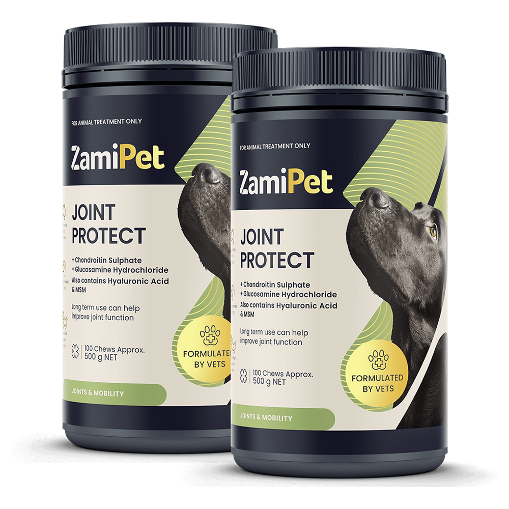 ZamiPet Joint Protect 500g Dog Supplement Double Pack