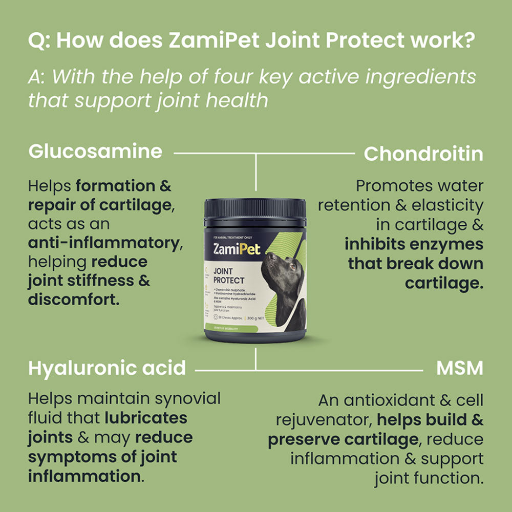 How do joint supplements for dogs from Zamipet work