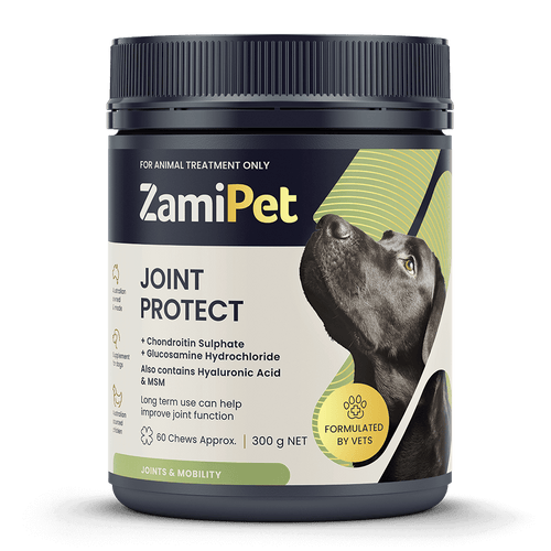 Joint Protect Chewable Dog Supplement