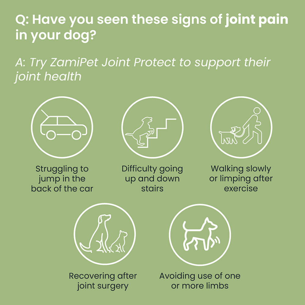 What are the signs of joint pain in your dog