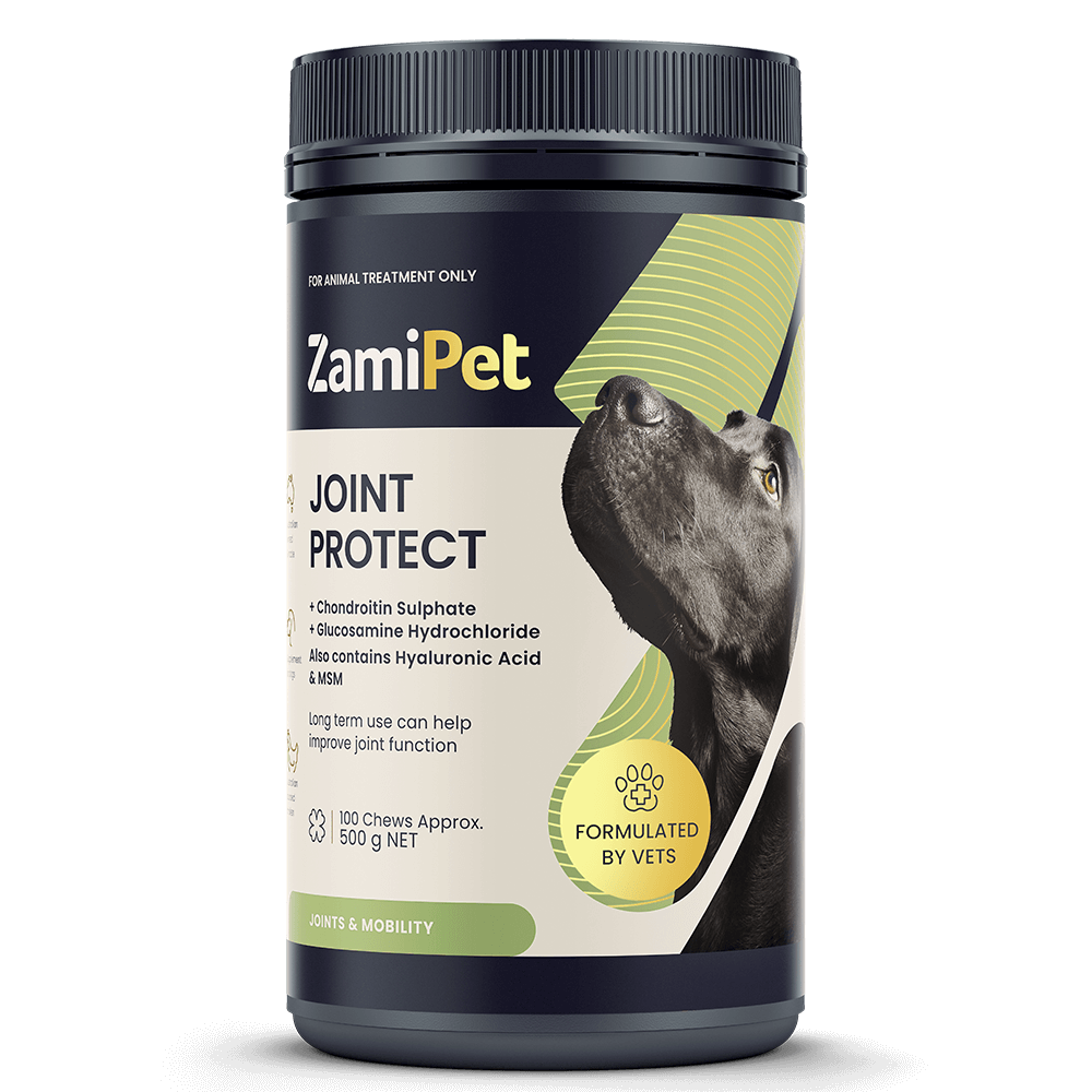Dog Supplements for Joint Health for Large Dogs