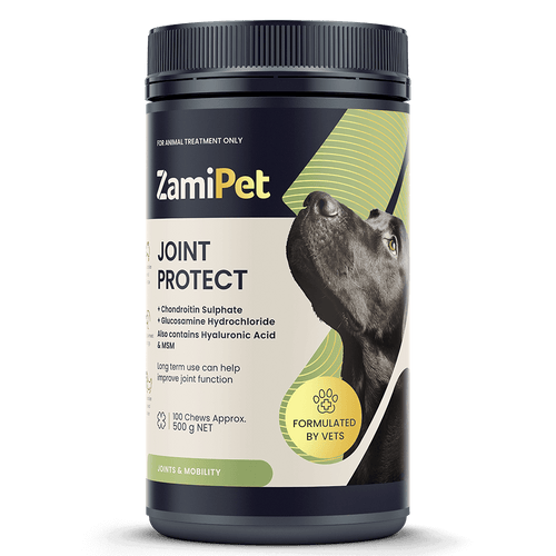 Dog Supplements for Joint Health for Large Dogs