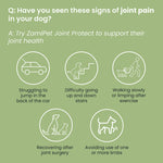 Load image into Gallery viewer, Joint Protect Supplement for Dogs