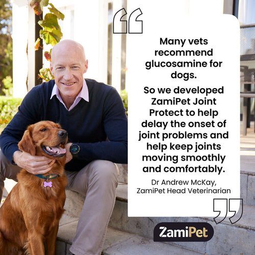 Zamipet Dog Supplements are designed and approved by vets