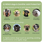 Load image into Gallery viewer, ZamiPet Joint Protect Super Pack