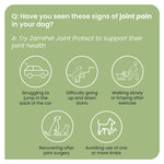 Load image into Gallery viewer, ZamiPet Joint Protect Super Pack