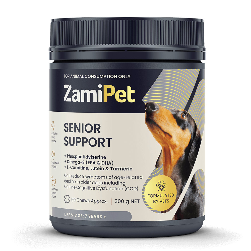 Supplements for senior dogs with arthritis best sale