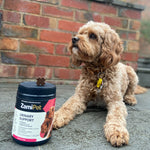 Load image into Gallery viewer, ZamiPet Urinary Support Super Pack