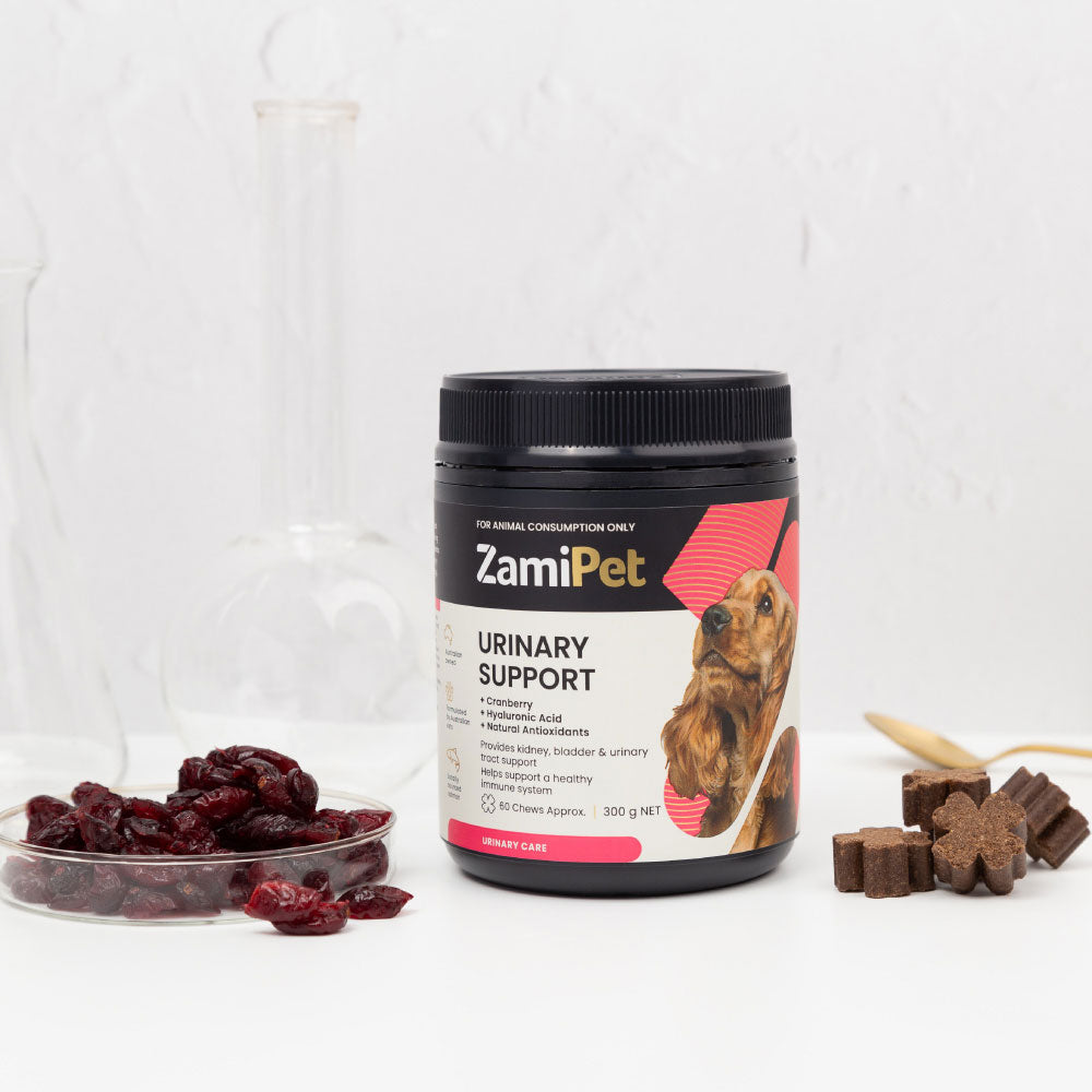 ZamiPet Urinary Support Supplement for Dogs