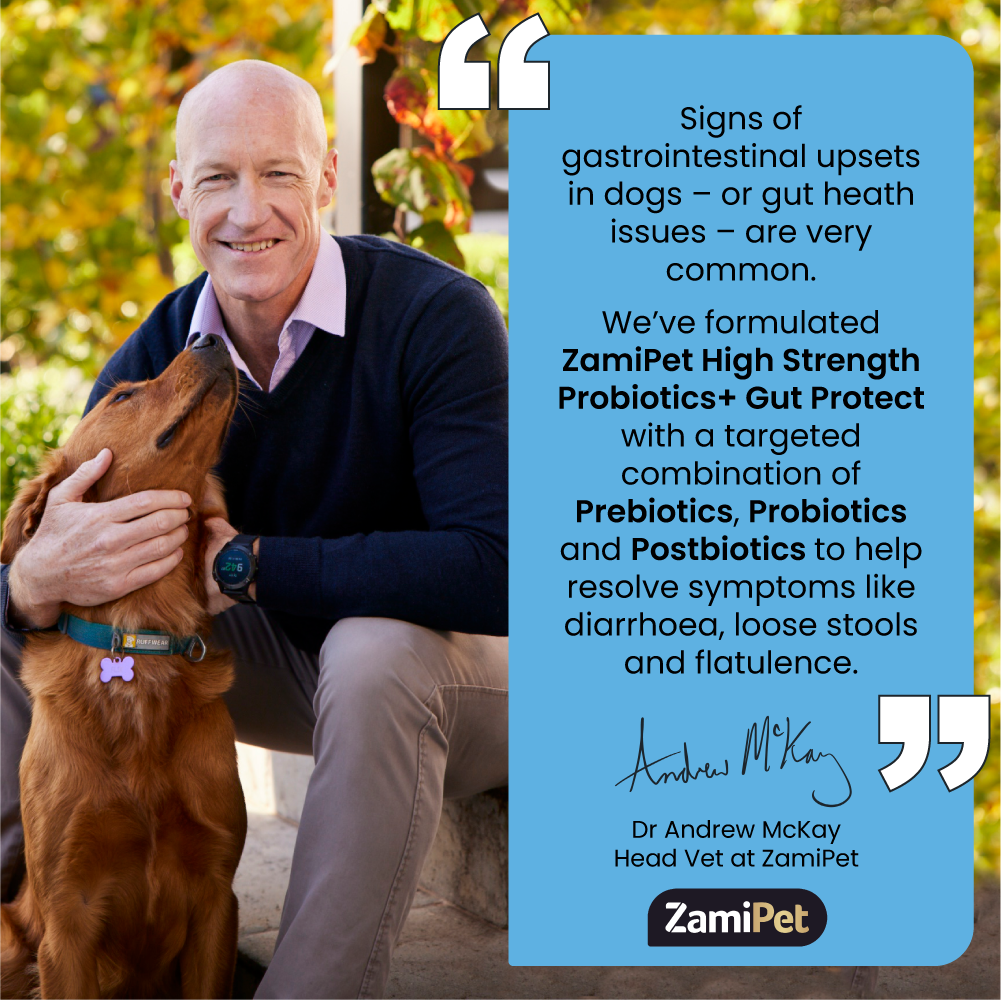 Probiotics for Dogs | Australia's No 1 Dog Probiotic Brand