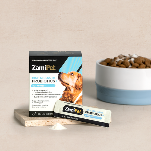The best probiotics for dogs with sensitive or upset stomachs.