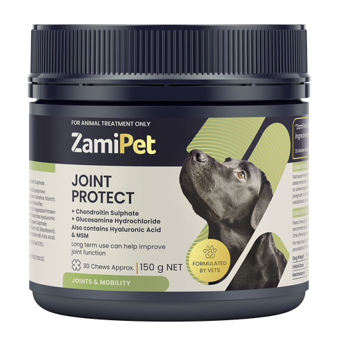 ZamiPet Joint Protect for Dogs