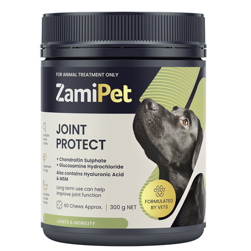 Chewable dog joint supplement best sale