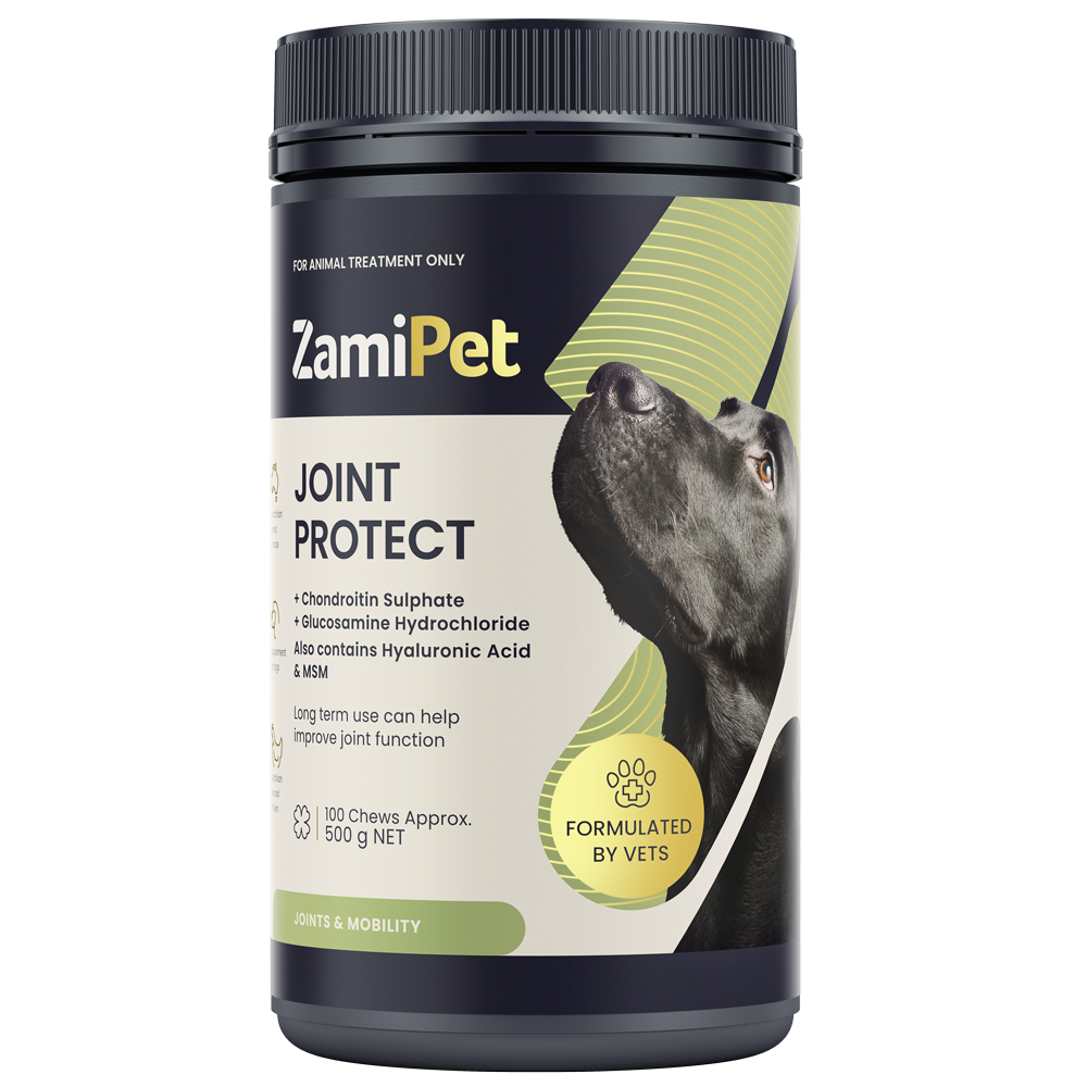 Joint Protect Chewable Dog Supplement ZamiPet Australia