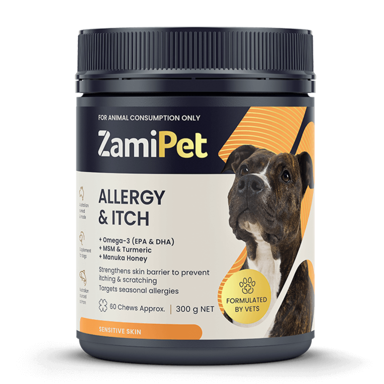 Medication for dog itchy skin hotsell