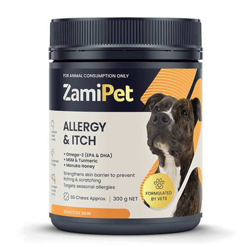 Allergy Itch Supplements for Dogs ZamiPet Australia