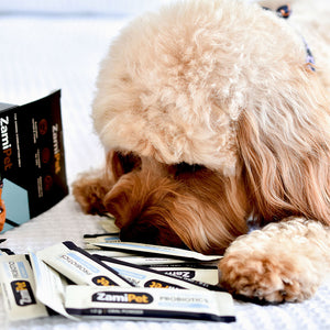 ZamiPet Allergy and Itch Super Pack