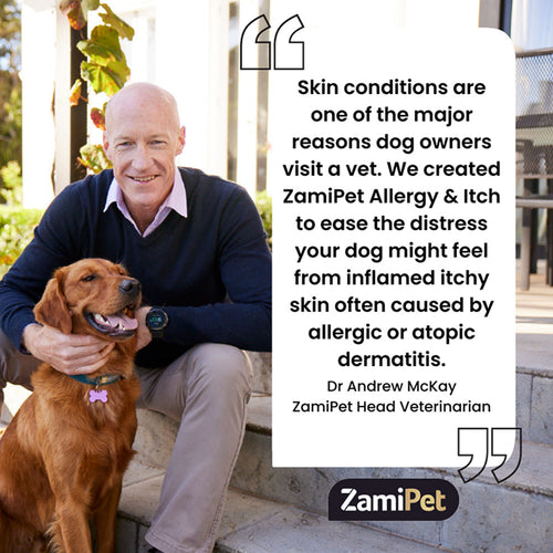 ZamiPet Allergy and Itch Super Pack