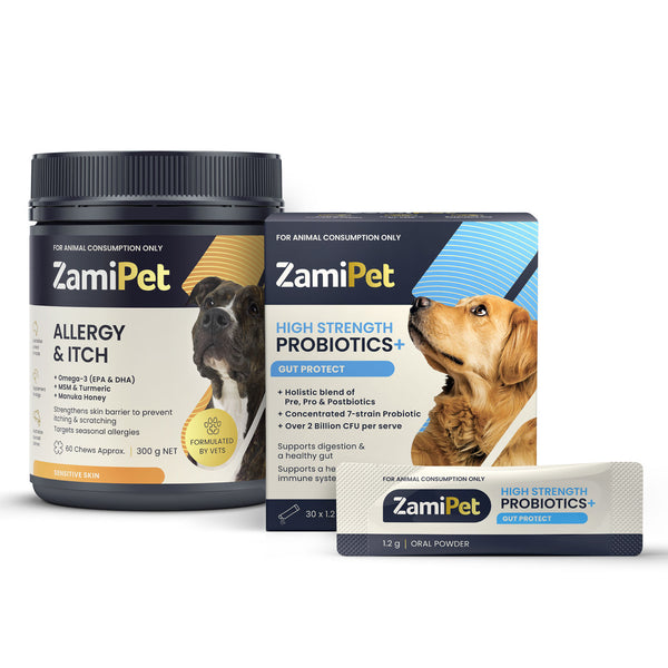 Multivitamin for clearance dogs with allergies