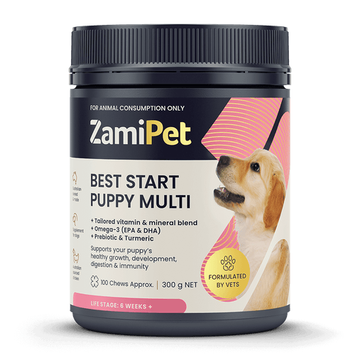 Dha for puppies best sale