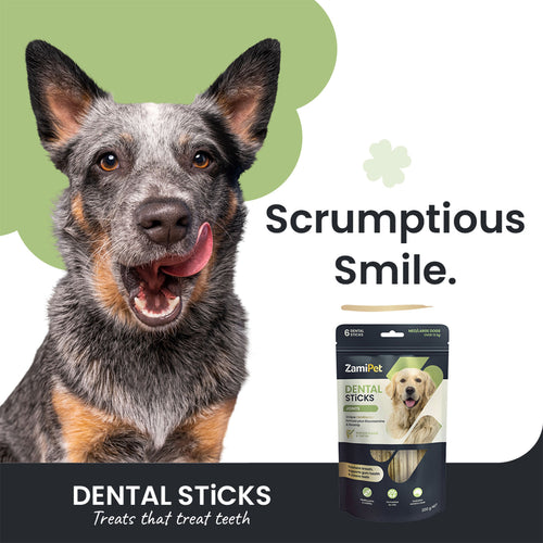 ZamiPet Dental Sticks Joints - Med/Large Dogs