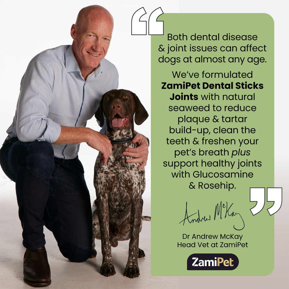 ZamiPet Dental Sticks Joints Mega Pack for Small Dogs
