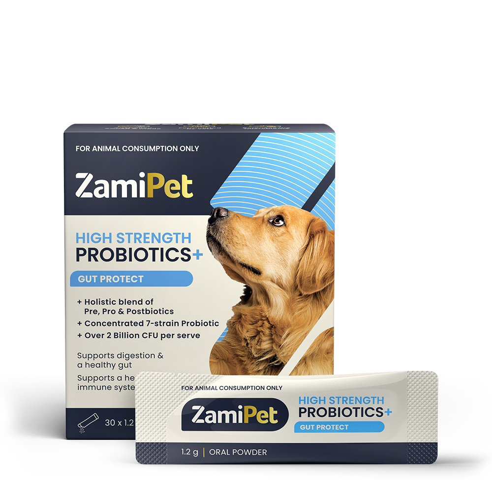 ZamiPet High Strength Probiotics+ Gut Protect