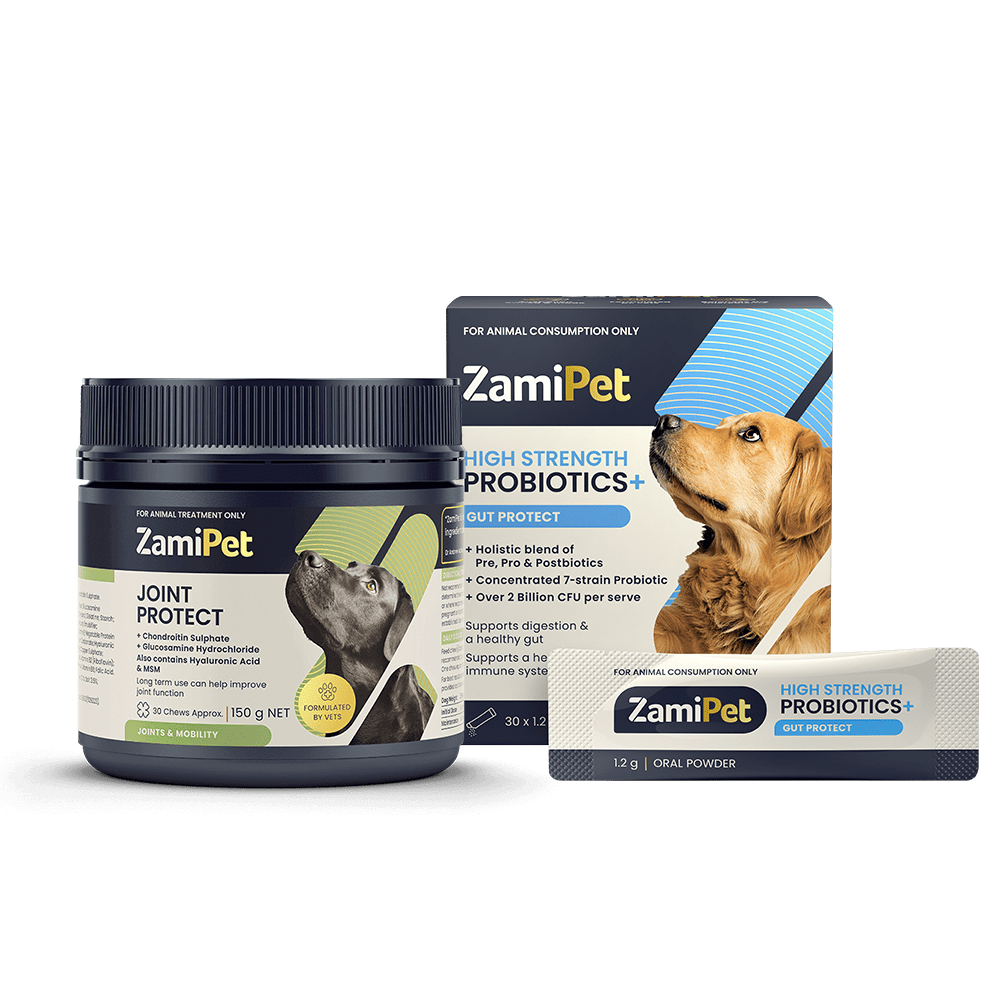 ZamiPet Joint Protect Super Pack