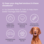 Load image into Gallery viewer, ZamiPet Relax &amp; Calm Dog Supplement
