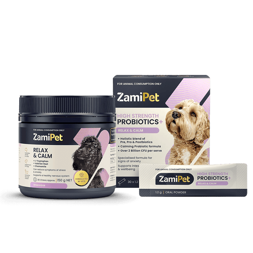 Probiotics for dog deals anxiety