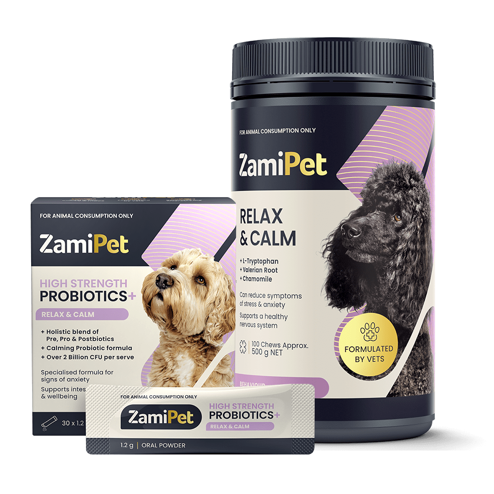 Calming probiotic dogs clearance