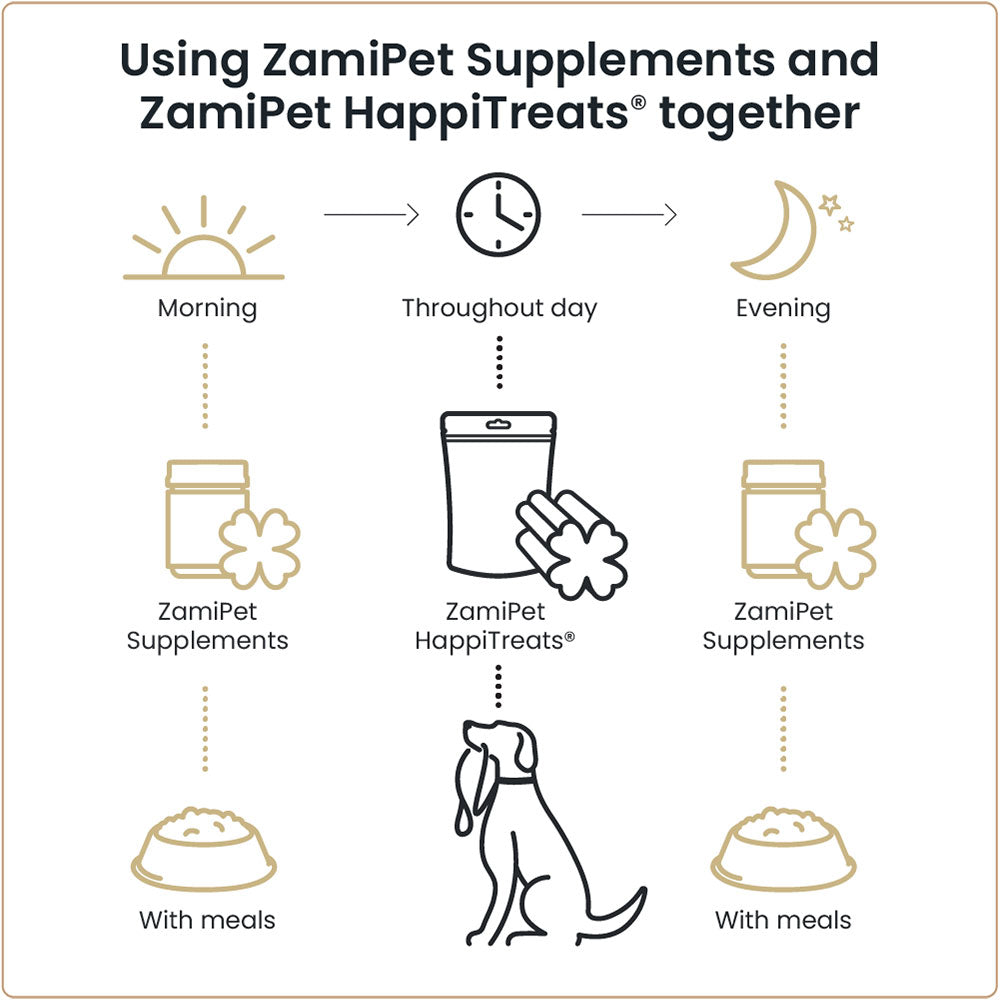 ZamiPet Senior Dog Support Super Pack