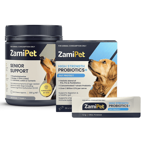 Senior dog nutrition sales supplements