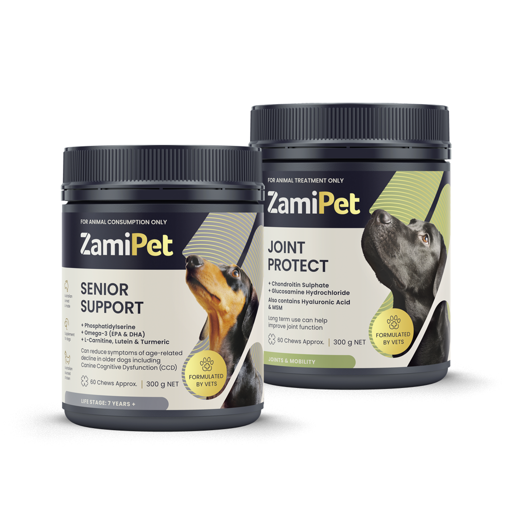 ZamiPet Senior Support and Joint Protect Supplement Bundle