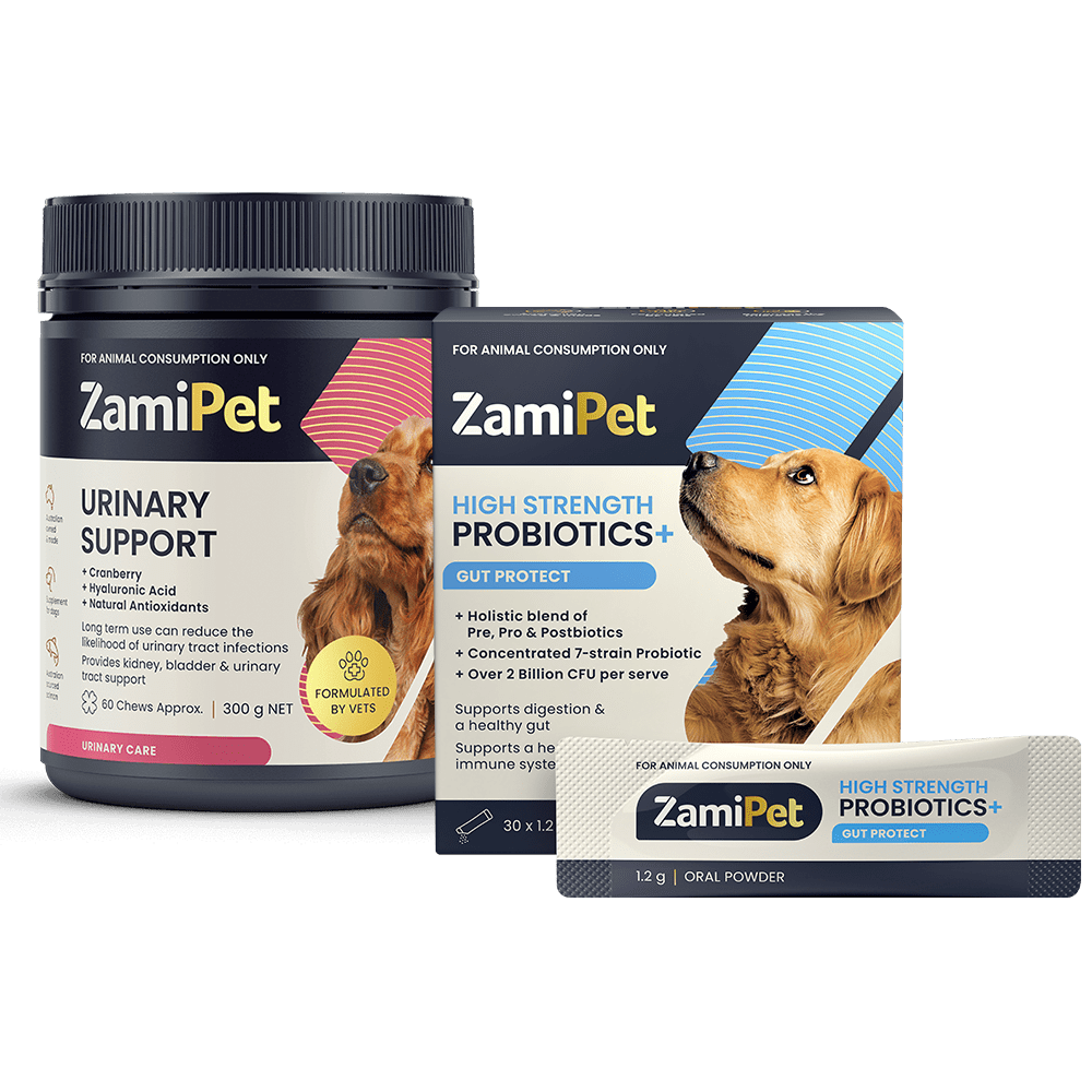 Best probiotic for sales dog yeast infection
