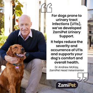 ZamiPet Urinary Support Supplement for Dogs