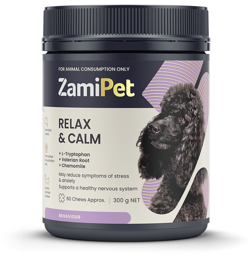Calming treats for aggressive dogs online
