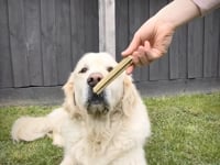 ZamiPet Dental Sticks Relax & Calm - Med/Large Dogs