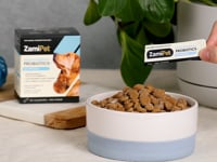 Video showing a sachet of ZamiPet High Strength Probiotics+ Gut Protect probiotic powder being poured over dry dog food sitting in a white and blue bowl. In the background is a green plant in a white pot, next to a box of ZamiPet High Strength Probiotics+ Gut Protect.
