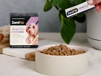 Video showing a sachet of ZamiPet High Strength Probiotics+ Relax & Calm probiotic powder being poured over dry dog food sitting in a white bowl. In the background is a green plant in a white pot, next to a box of ZamiPet High Strength Probiotics+ Relax & Calm.