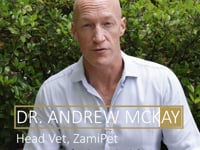 In this video, ZamiPet's Head Vet, Dr Andrew McKay, explains the key things to look for when selecting a probiotic for your dog.